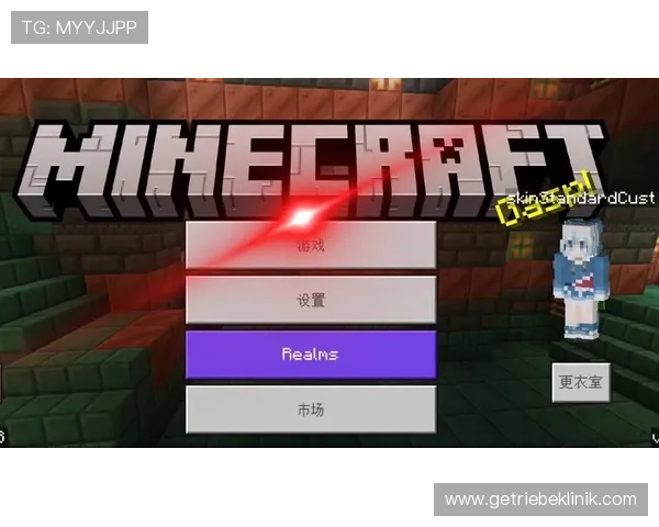 关于PA下载的最佳实践与使用经验分享，提升你的下载体验