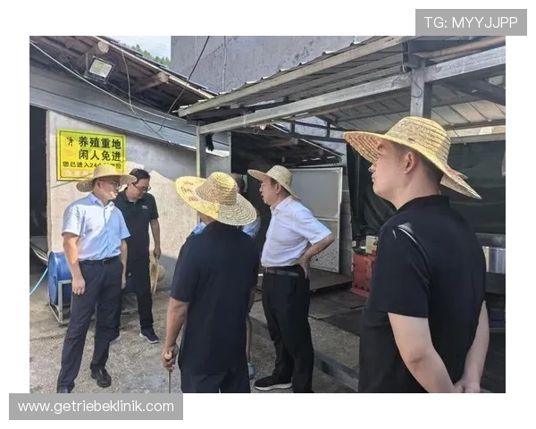 澳门ag视讯厅推动线上娱乐健康发展的方法与行业责任担当分析 澳门ag视讯厅推动线上娱乐健康发展的方法与行业责任担当分析