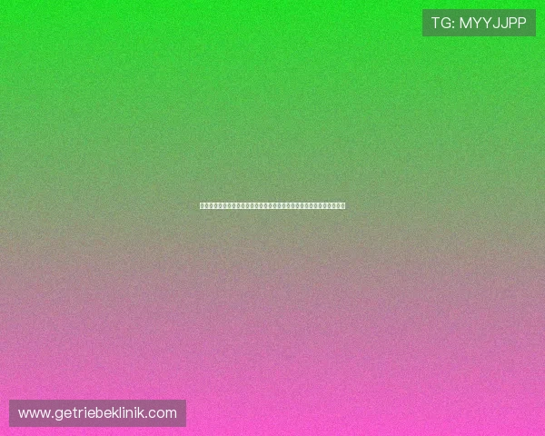 摩洛哥与巴西国家队世界杯比赛实时比分，赛场精彩瞬间与战术分析一览